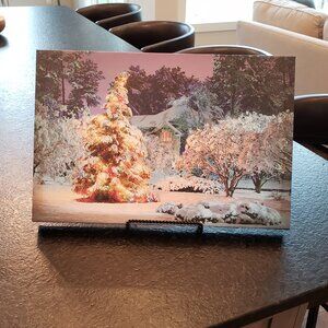 Winter/Christmas Canvas Picture, Size: 18X12
